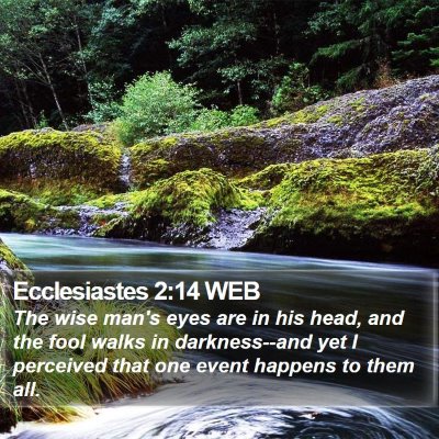 Ecclesiastes 2:14 WEB Bible Verse Image