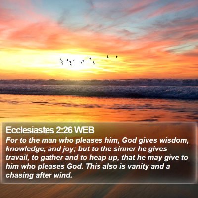 Ecclesiastes 2:26 WEB Bible Verse Image