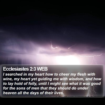 Ecclesiastes 2:3 WEB Bible Verse Image