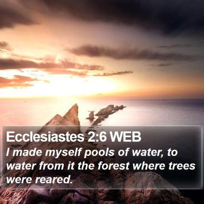 Ecclesiastes 2:6 WEB Bible Verse Image