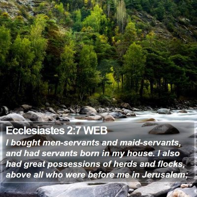 Ecclesiastes 2:7 WEB Bible Verse Image