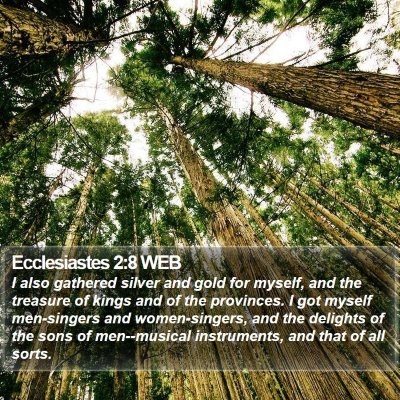 Ecclesiastes 2:8 WEB Bible Verse Image