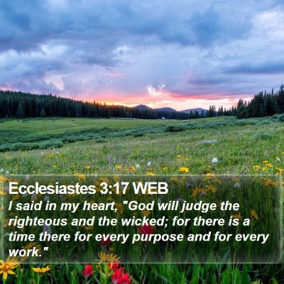 Ecclesiastes 3:17 WEB Bible Verse Image