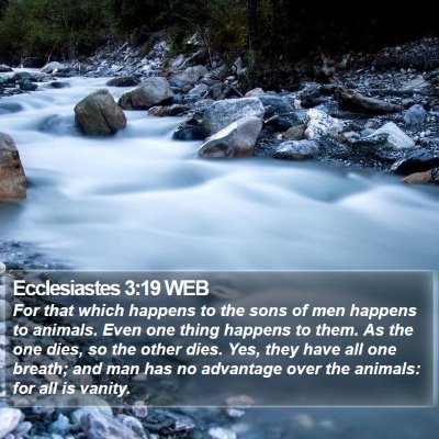 Ecclesiastes 3:19 WEB Bible Verse Image