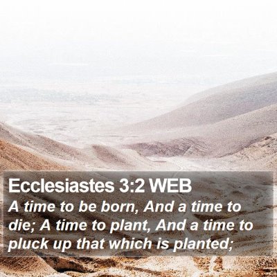 Ecclesiastes 3:2 WEB Bible Verse Image