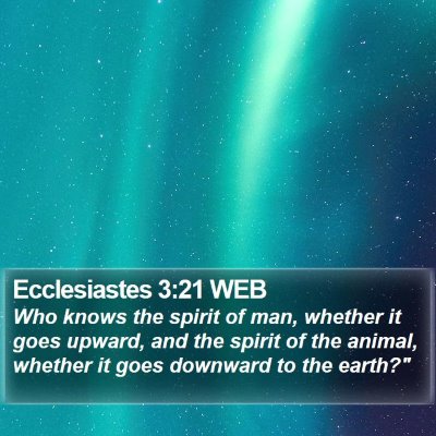 Ecclesiastes 3:21 WEB Bible Verse Image