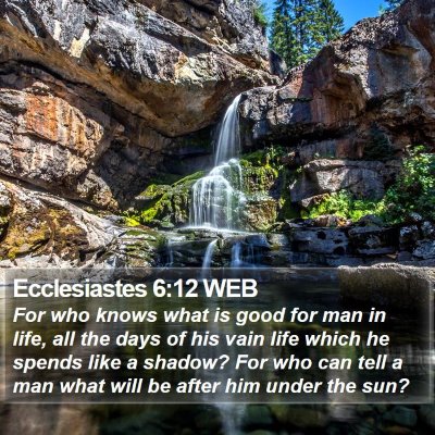 Ecclesiastes 6:12 WEB Bible Verse Image