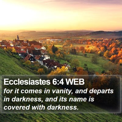 Ecclesiastes 6:4 WEB Bible Verse Image