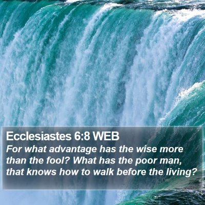 Ecclesiastes 6:8 WEB Bible Verse Image