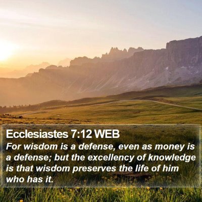 Ecclesiastes 7:12 WEB Bible Verse Image