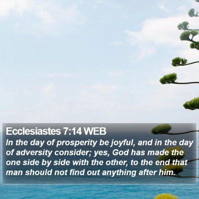 Ecclesiastes 7:14 WEB Bible Verse Image