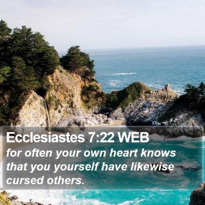 Ecclesiastes 7:22 WEB Bible Verse Image