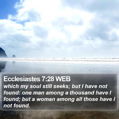 Ecclesiastes 7:28 WEB Bible Verse Image