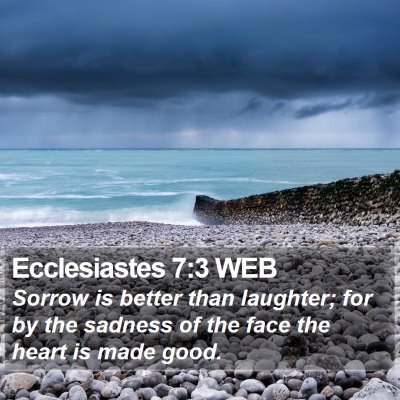 Ecclesiastes 7:3 WEB Bible Verse Image