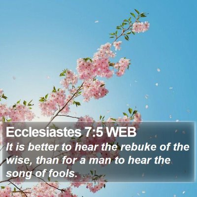 Ecclesiastes 7:5 WEB Bible Verse Image