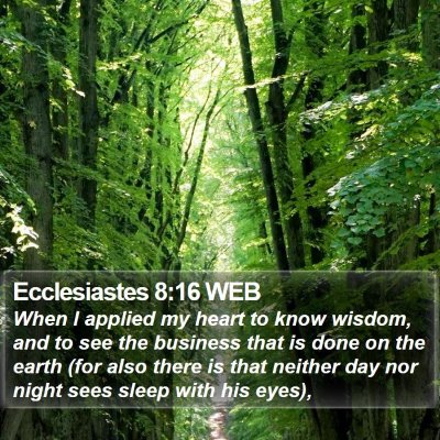 Ecclesiastes 8:16 WEB Bible Verse Image