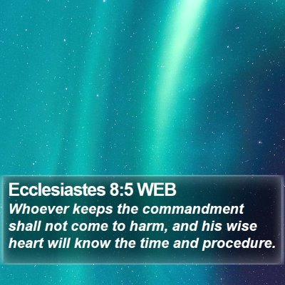 Ecclesiastes 8:5 WEB Bible Verse Image
