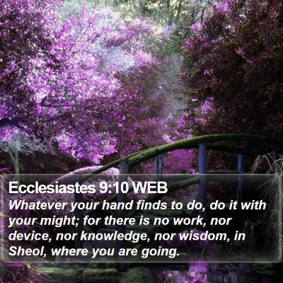 Ecclesiastes 9:10 WEB Bible Verse Image
