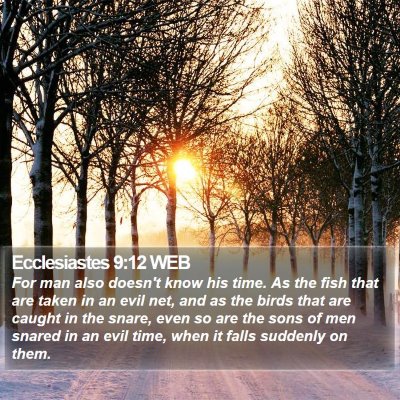 Ecclesiastes 9:12 WEB Bible Verse Image