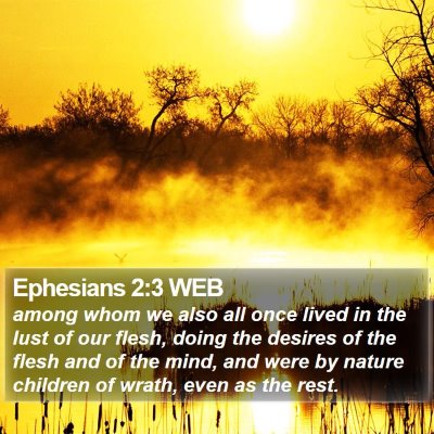 Ephesians 2:3 WEB Bible Verse Image