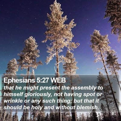 Ephesians 5:27 WEB Bible Verse Image