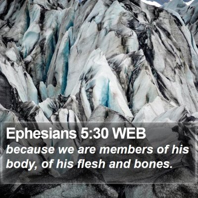 Ephesians 5:30 WEB Bible Verse Image