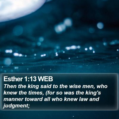 Esther 1:13 WEB Bible Verse Image