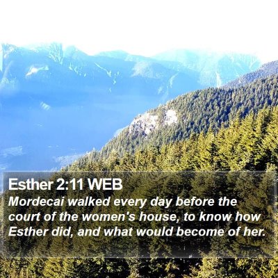 Esther 2:11 WEB Bible Verse Image