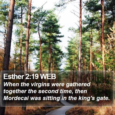 Esther 2:19 WEB Bible Verse Image