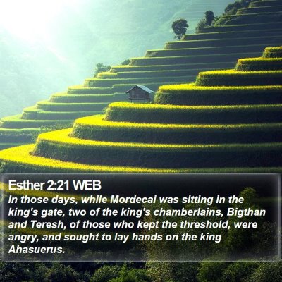 Esther 2:21 WEB Bible Verse Image