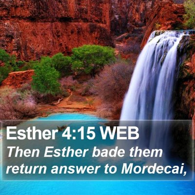 Esther 4:15 WEB Bible Verse Image