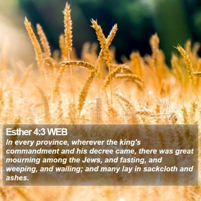 Esther 4:3 WEB Bible Verse Image