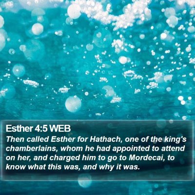 Esther 4:5 WEB Bible Verse Image