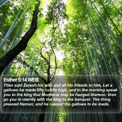 Esther 5:14 WEB Bible Verse Image