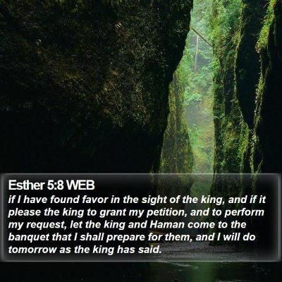 Esther 5:8 WEB Bible Verse Image
