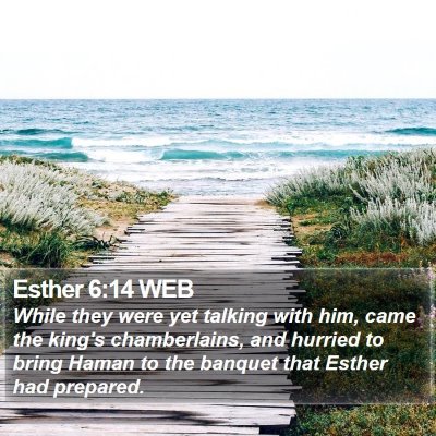 Esther 6:14 WEB Bible Verse Image