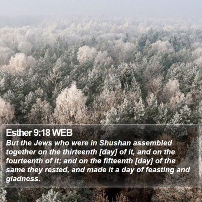 Esther 9:18 WEB Bible Verse Image