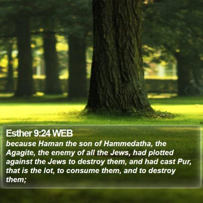 Esther 9:24 WEB Bible Verse Image