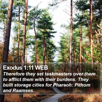 Exodus 1:11 WEB Bible Verse Image
