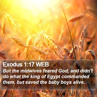 Exodus 1:17 WEB Bible Verse Image