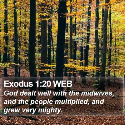Exodus 1:20 WEB Bible Verse Image