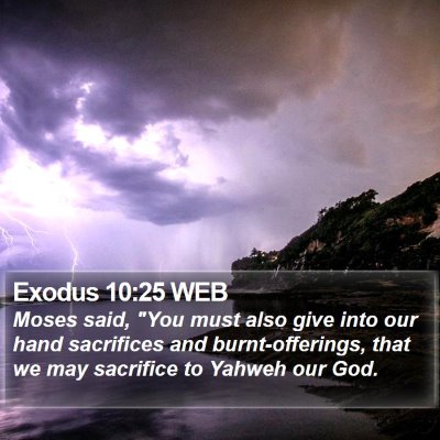 Exodus 10:25 WEB Bible Verse Image