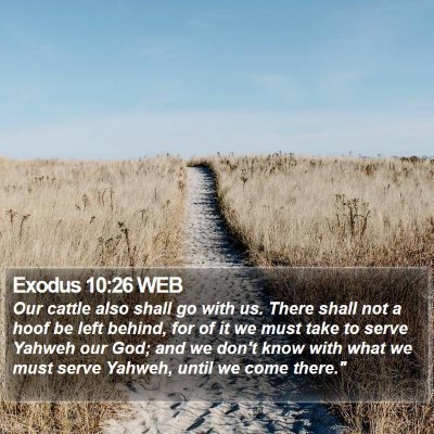 Exodus 10:26 WEB Bible Verse Image