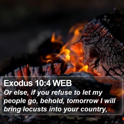 Exodus 10:4 WEB Bible Verse Image