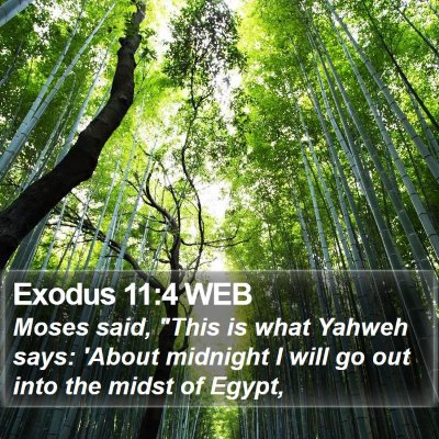 Exodus 11:4 WEB Bible Verse Image