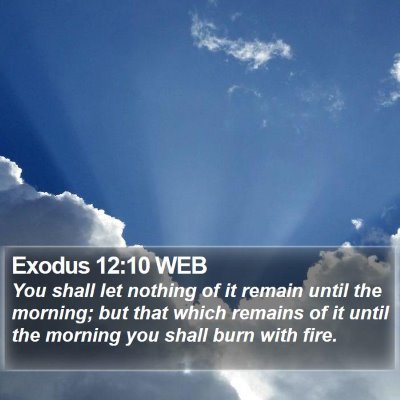 Exodus 12:10 WEB Bible Verse Image