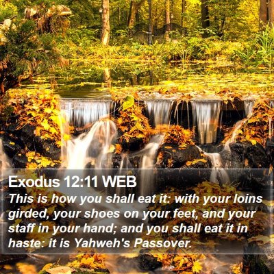 Exodus 12:11 WEB Bible Verse Image