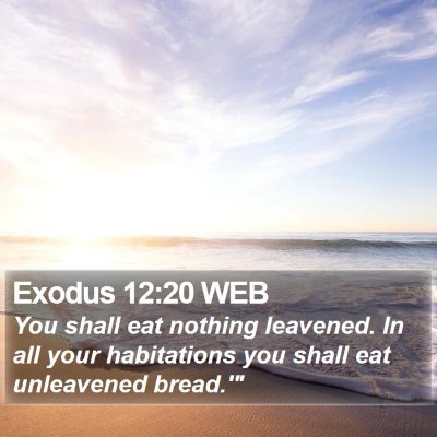 Exodus 12:20 WEB Bible Verse Image