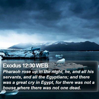Exodus 12:30 WEB Bible Verse Image