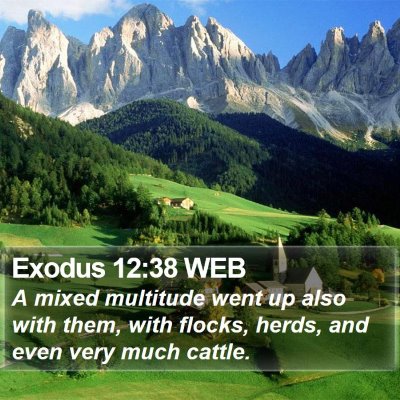 Exodus 12:38 WEB Bible Verse Image
